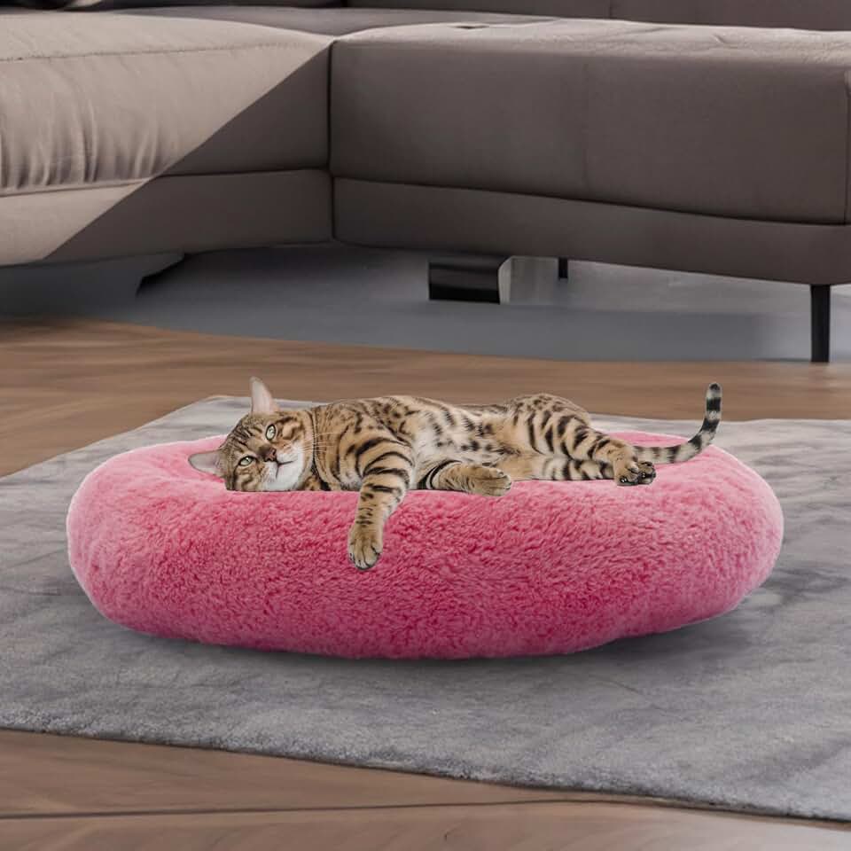 PET-BED-OVL